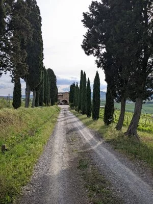 Superbe visite de domaine viticole – un incontournable à Volterra