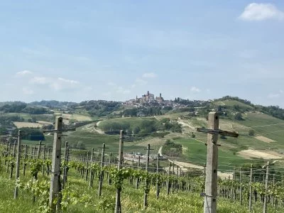 Una experiencia maravillosa y vinos increíbles