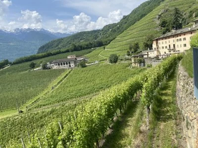 Preciosa cata y visita a la bodega