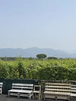 Un ambiente familiar y un vino excelente