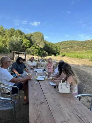 Balade dans les vignes avec apéritif