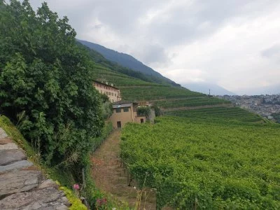Visite de la Tenuta la Gatta