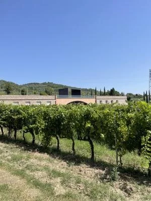 Pique-nique dans les vignes