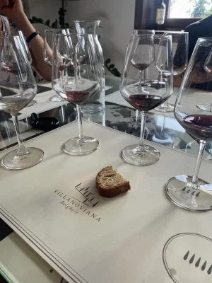 Dégustation de vin en juillet 2023