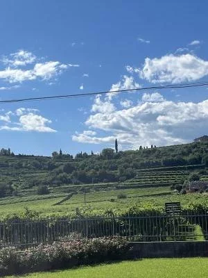¡Excelente cata de vinos!