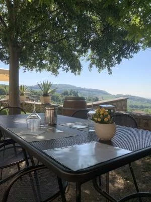 Visita guiada a los viñedos y la bodega con degustación