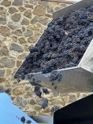 Una experiencia de cata de vinos..