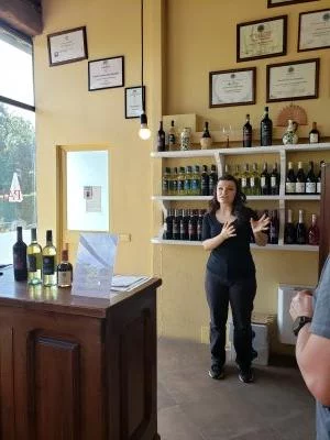 Experiencia vinícola con vistas