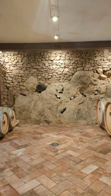 Una historia auténtica del Val d'Orcia