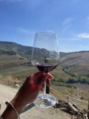 Excellent wine-testing with a splendid view