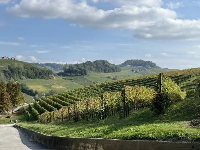 Degustazione