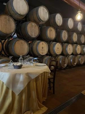 Esperienza nel verde dei cipressi di San Gimignano