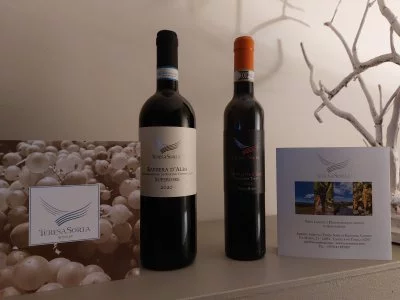 Degustazione TeresaSoria