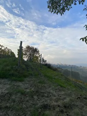 Vino meraviglioso con una storia di famiglia