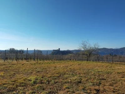 Molto piacevole