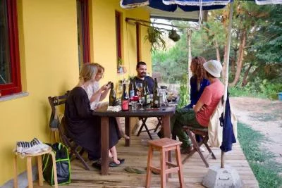 Thumbnail Porto: Halbtägige Wein- und Kulinarik-Tour zum Bio-Weinberg in der Region Vinhos Verdes