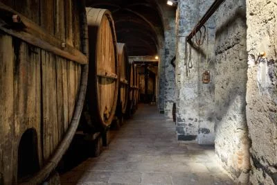 Thumbnail Five Etna Contrade Wine Tasting at Graci Winery