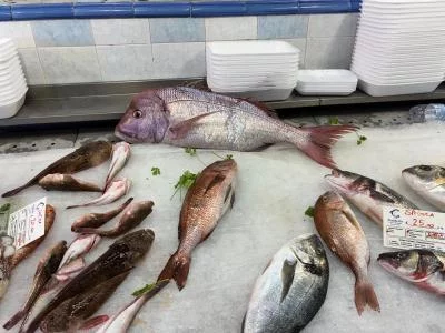 Thumbnail Full Fish – Cours de cuisine sicilienne privé à la ferme Minissale, près de Taormine