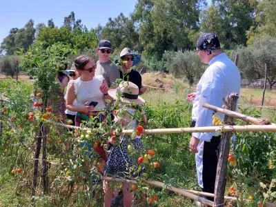 Thumbnail Esperienza privata di conserve e marmellate presso Minissale Farmhouse vicino a Taormina