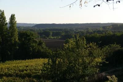 Thumbnail Visite agroécologique du vignoble et dégustation de vin au Domaine de Grimardy