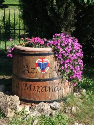 Thumbnail Degustazione di vino biologico con il produttore a La Mirandola nel Chianti Classico