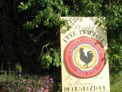 Thumbnail Degustazione di vino biologico con il produttore a La Mirandola nel Chianti Classico