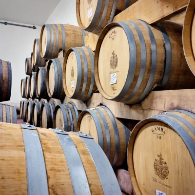 Thumbnail Visita a la bodega y cata de vinos en Villa Buonasera, en el Chianti Classico