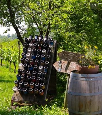 Thumbnail Esperienza privata ed esclusiva di degustazione di Franciacorta da Vinea Ventis insieme a un Wine Specialist