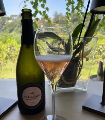 Thumbnail Private & exclusive Wine Specialist Experience at Vinea Ventis in Franciacorta