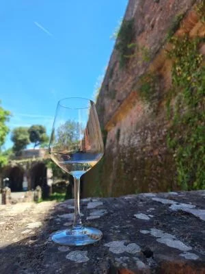 Thumbnail Alla scoperta della Toscana: degustazione alla Fortezza dei Medici di Siena, Enoteca Italiana Siena