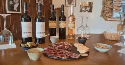 Thumbnail Weinbergsbesichtigung & Verkostung mit Köstlichkeiten aus dem Alentejo auf der Herdade da Maroteira in Redondo