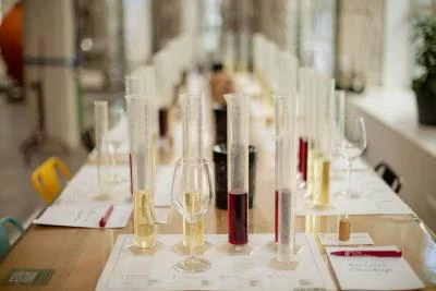Thumbnail Chai Saint Olive: Visit and Wine Tasting in the heart of Lyon
