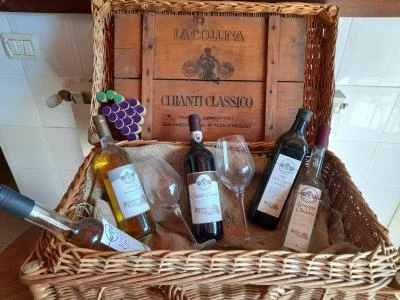 Thumbnail Chianti Classico Wine Tasting at Azienda Agricola La Collina