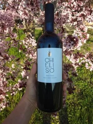 Thumbnail Von der Rebe ins Glas: ChiEliSò-Weingut-Erlebnis mit regionalen Spezialitäten im Alto Monferrato