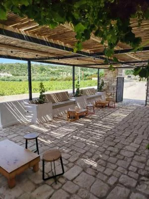 Thumbnail Visita a los viñedos y cata de vinos en Domini San Calare