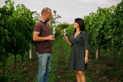 Thumbnail Un voyage à travers le temps : visite de la cave et dégustation de vins haut de gamme à Enotria Tellus