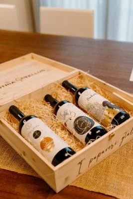 Thumbnail Visione nel Tempo: Winery Tour & Premium 6-Wine Tasting at Enotria Tellus in Veneto