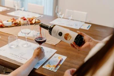 Thumbnail Visione nel Tempo: tour della cantina e degustazione premium di 6 vini presso Enotria Tellus in Veneto