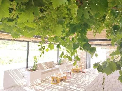 Thumbnail Dégustation de vins de mer haut de gamme au Domini San Calare