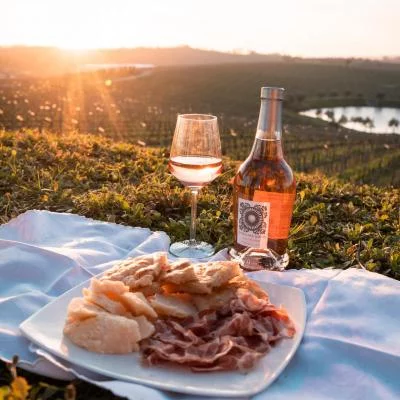 Thumbnail Lugana-Weinprobe mit regionaler Platte und Führung bei Perla del Garda in Lonato