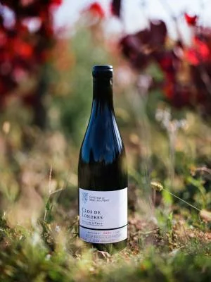 Thumbnail Château du Moulin-à-Vent: A Terroir Experience from Vineyard to Glass
