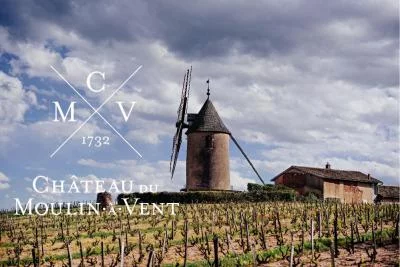 Thumbnail Château du Moulin-à-Vent: donde el tiempo se convierte en aliado del vino