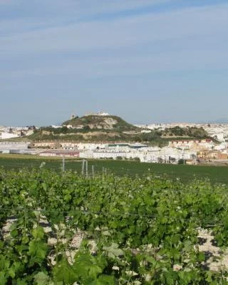 Thumbnail Führung, Verkostung &amp; Gourmet-Tapas: Bodegas González Palacios – D.O.P. Lebrija