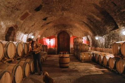 Thumbnail Pit Stop Gourmet: Wine Tasting & Light Lunch at Vantorosso in Valpolicella