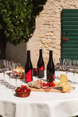 Thumbnail Pit Stop Gourmet: Wine Tasting & Light Lunch at Vantorosso in Valpolicella
