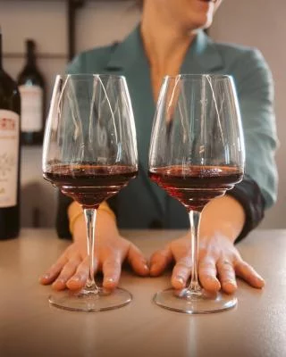 Thumbnail Tour privado al 100 % por Valpolicella y cata de vinos en Ca' Rugate
