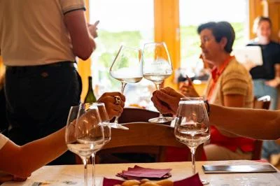 Thumbnail Entre racines, cave et Prosecco Superiore : visite et dégustation chez Toffoli