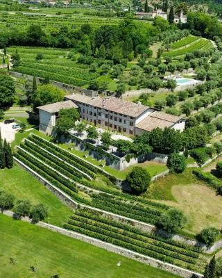 Thumbnail Ugolini Espresso Wine Tasting at Villa San Michele in Valpolicella
