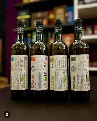 Thumbnail Degustazione di vini naturali e visita alla cantina alla Tenuta Cà Sciampagne a Montefeltro
