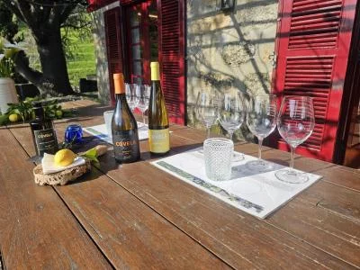 Thumbnail Private Avesso & Azal Wine Tour of Amarante & Baião from Porto